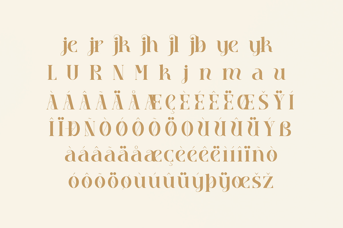 Qebil Stylish Display Font, a Serif Font by Storytype Studio (Photo 13 of 15)