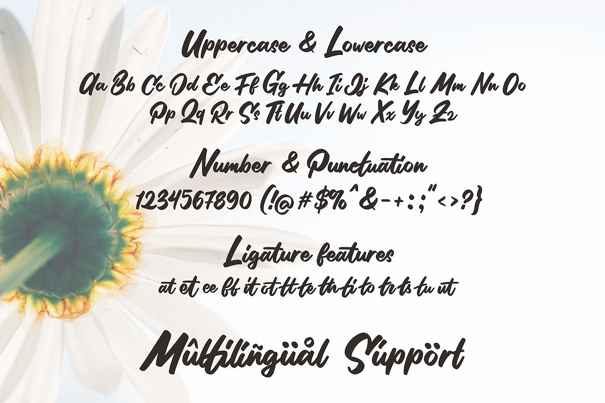 Stilda - Lovely Script Font, a Script Font by StringLabs (Photo 11 of 11)