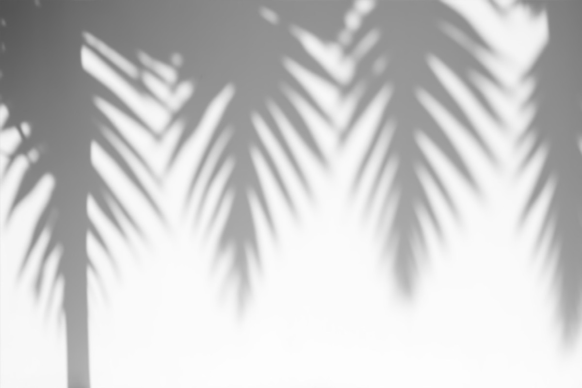 Shadow overlays collection - 42 pics, a Decorative Illustration by Handmadefont (Photo 7 of 11)