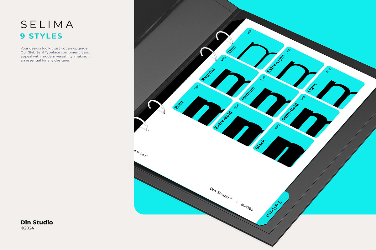 Selima, a Sans Serif Font by din-studio.com (Photo 8 of 14)