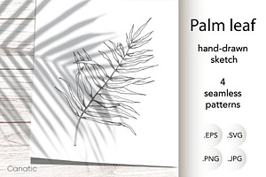 Palm leaf. Hand sketch and patterns