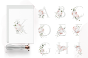 Bronte | Botanical set | 280+ images, an Illustration by Karma (Thumbnail 17 of 39)