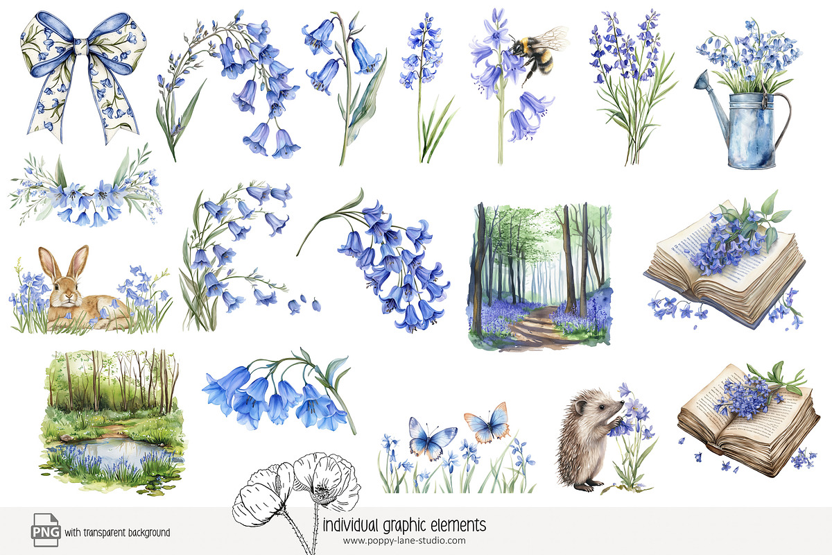 100 bluebell woods clip art, a Seasonal Illustration by Poppy Lane Studio (Photo 2 of 10)