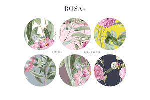 Rosa Eucalyptus Patterns & Motifs