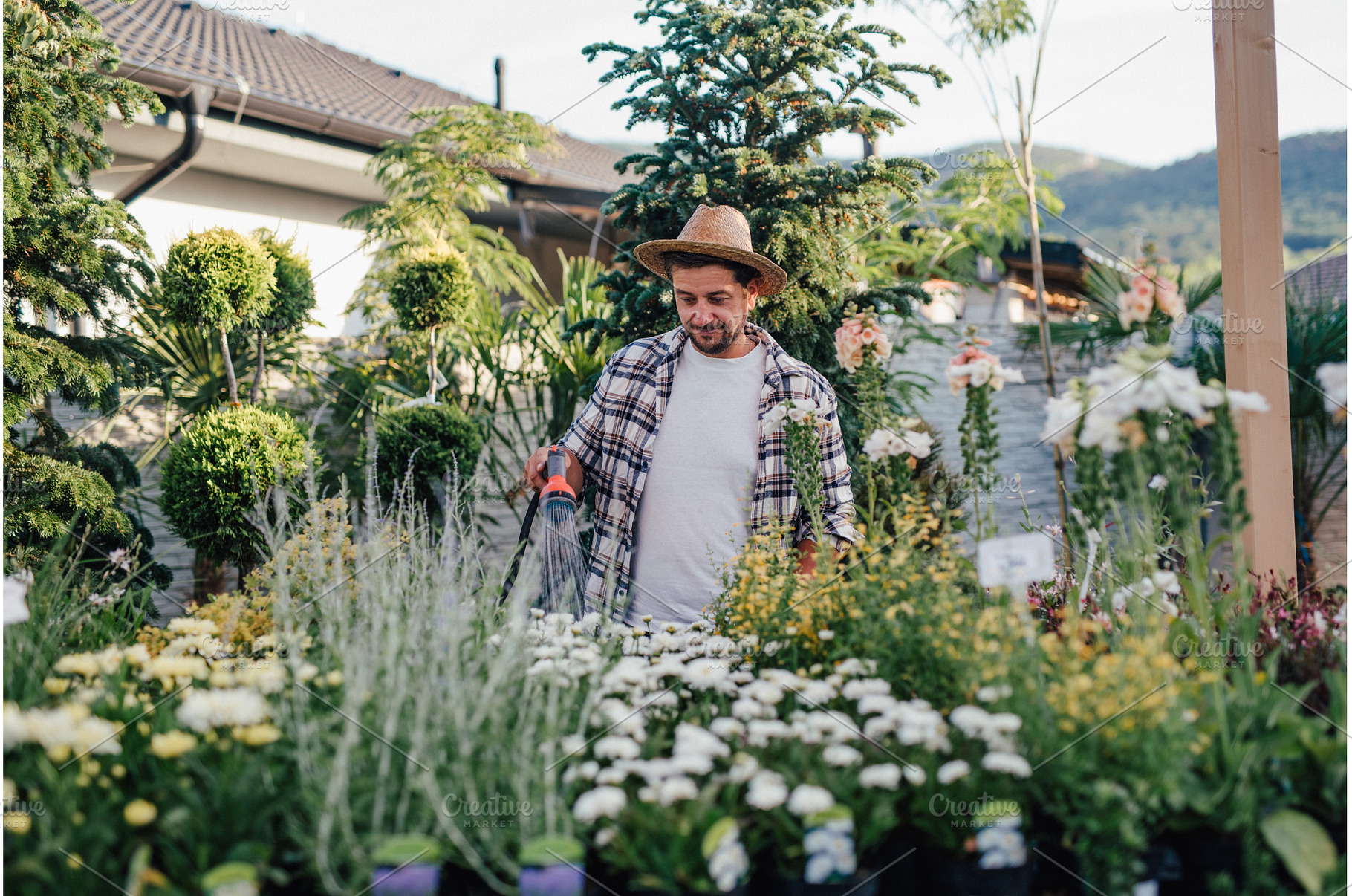 Garden center owner working among, a Nature Photo by HalfPoint