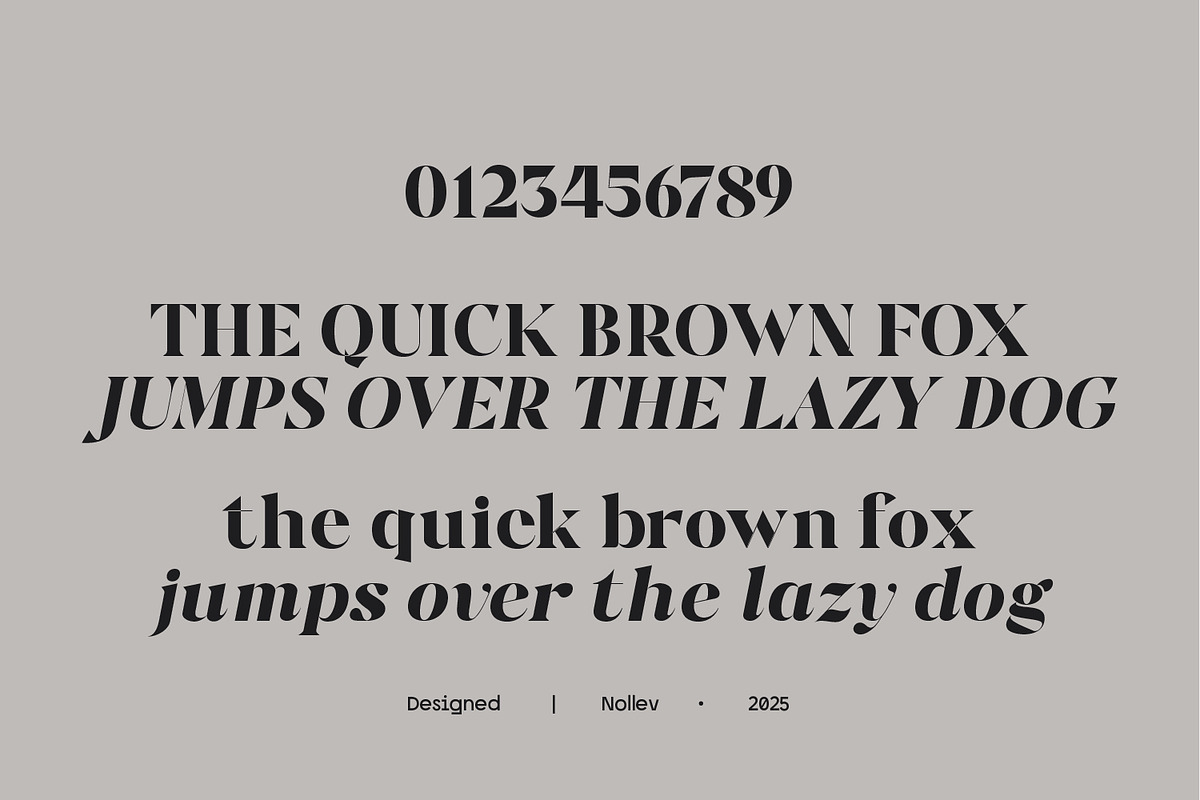 Motey – Modern Elegant Serif Display, a Font by Nollev (Photo 8 of 9)