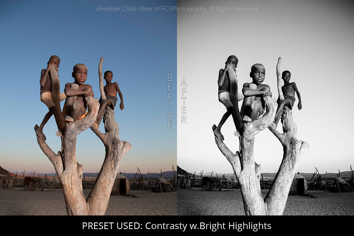 Pro Black & White Lightroom Presets preview 2