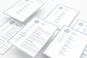 Creative and Professional Resume, a Resume Template by GraphicFlava (Thumbnail 8 of 8)