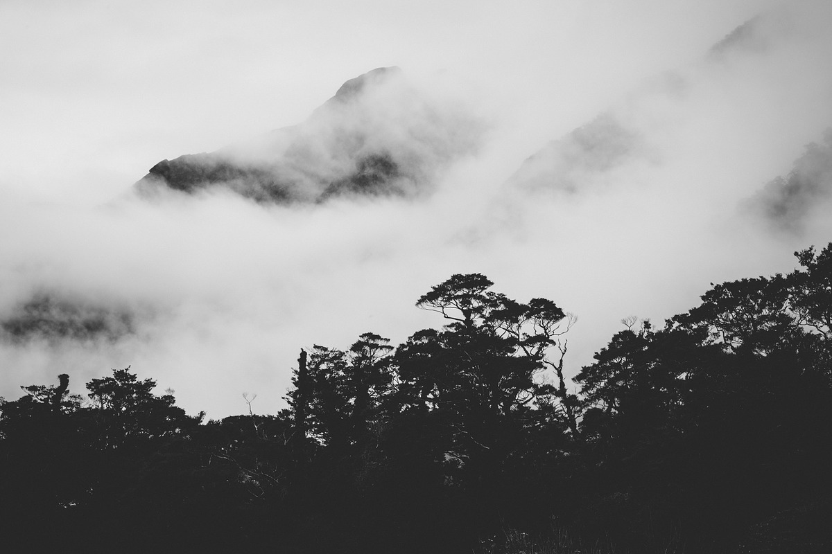 Fine Art Lightroom Presets - Bundle, an Action Add-On by PhotoMarket (Photo 62 of 103)
