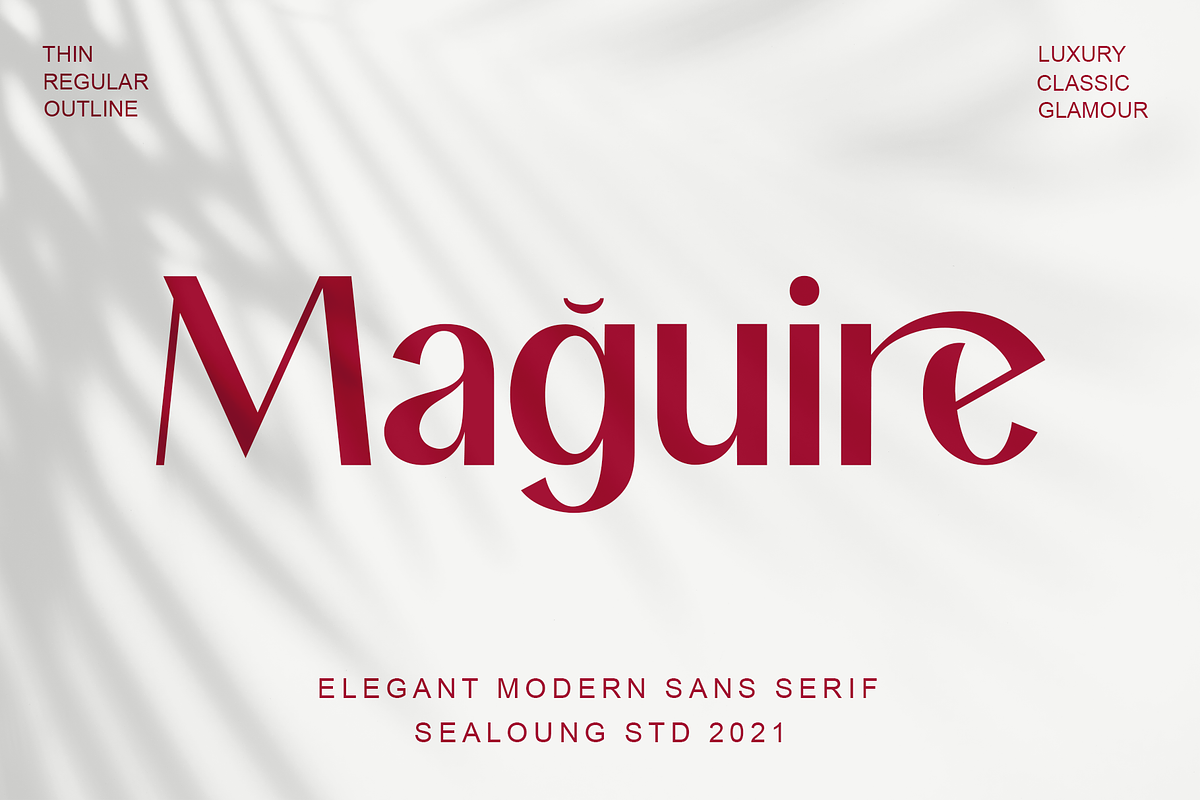 Maguire, a Sans Serif Font by Sealoung (Photo 1 of 17)