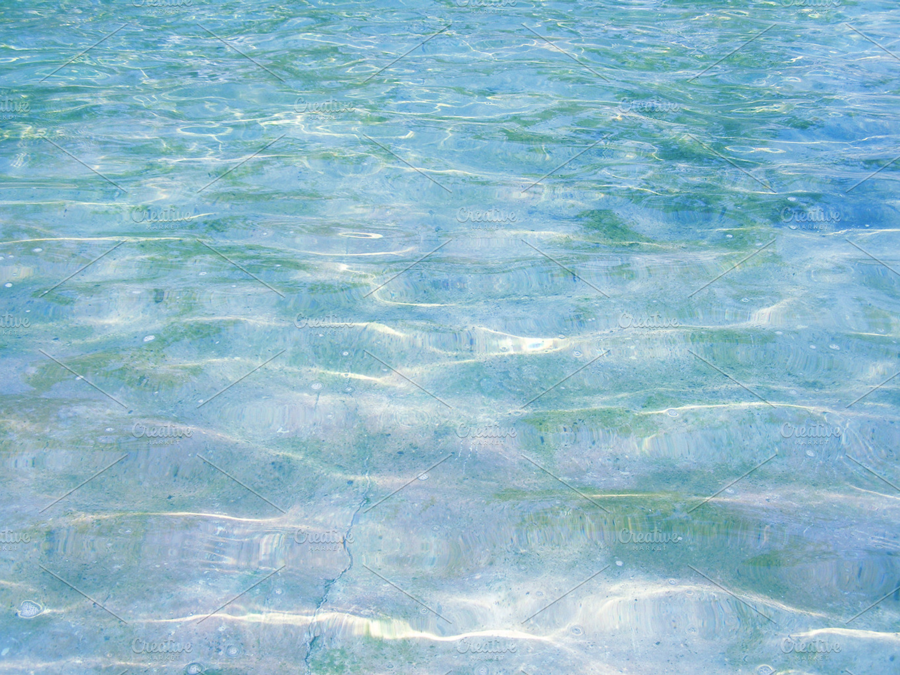 Water containing water, pond, and sea