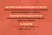 Circadian, a Serif Font by Bouchard Designs (Thumbnail 4 of 9)