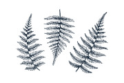 Hand drawn isolated flowers set, an Object Graphic by SpaceNymph (Thumbnail 4 of 5)