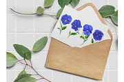 Blue Pansies Vector Set, an Illustration by MarynaPetrovska (Thumbnail 6 of 15)