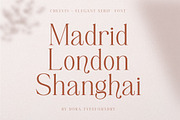 Chelvin Elegant Serif, a Serif Font by Dora Typefoundry (Thumbnail 12 of 20)