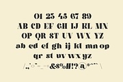Aelica - Elegant Serif Font, a Serif Font by MaikoHatta (Thumbnail 9 of 10)