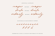 Auteur Calligraphy Script Font, a Script Font by Up Up Creative (Thumbnail 6 of 16)