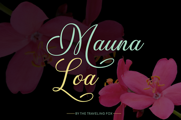 Mauna Loa Handwritten Script Font preview 5