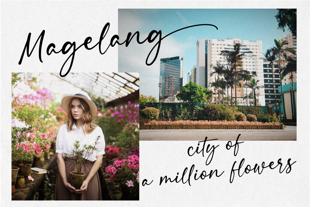 Steinfeld a Handwritten Font, a Script Font by Vilogsign (Photo 2 of 11)