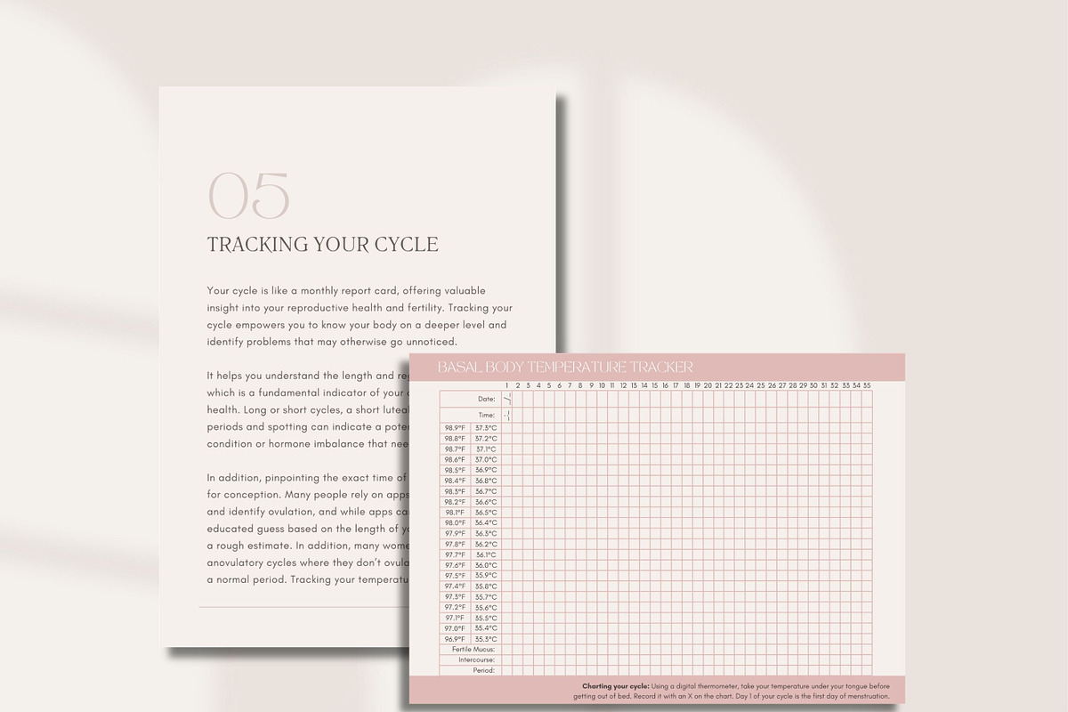 Preconception Fertility Ebook Canva, a Presentation Template by Naturopath Hub (Photo 9 of 9)