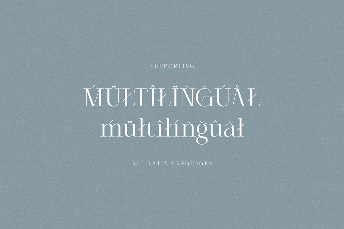 Agican Elegant Serif, a Serif Font by Cruzine (Photo 9 of 9)
