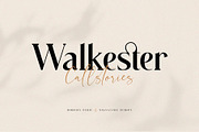 Ligature Font BUNDLE, a Serif Font by BrandSemut (Thumbnail 55 of 70)