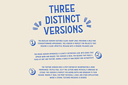 Hockey - Display Typeface, a Serif Font by Arendxstudio (Thumbnail 3 of 17)