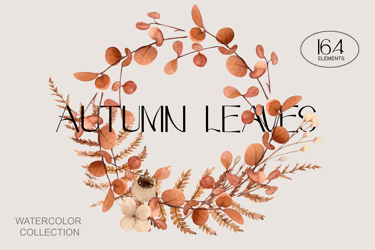 Autumn Leaves Set Illustrations, a Seasonal Illustration by NataliArkushArt (Photo 1 of 12)