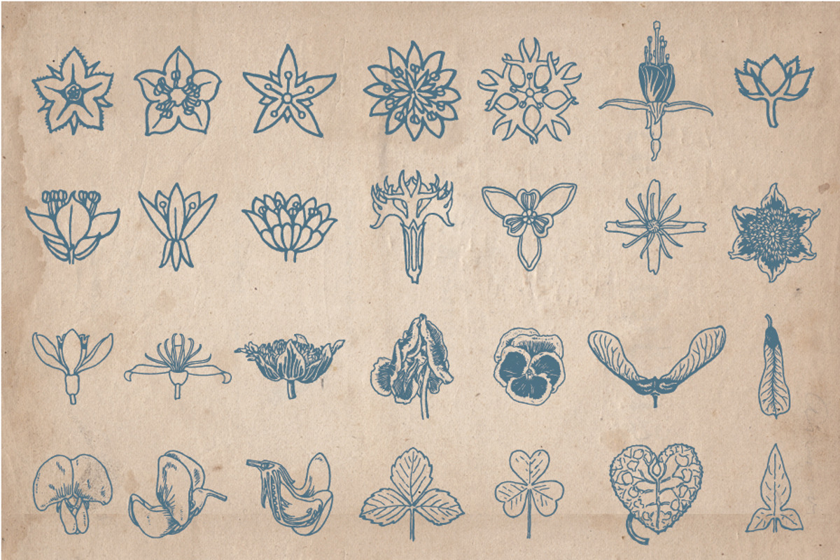 205 Floral Objects, an Object Graphic by Mr Vintage (Photo 3 of 5)