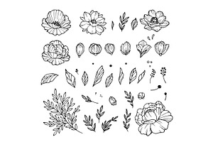 Rose bud collection. Roses elements