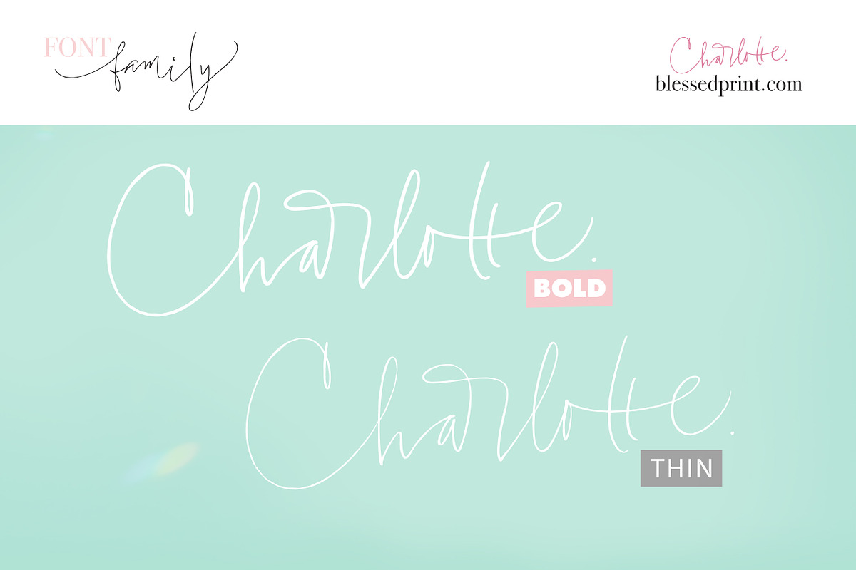 Charlotte Script with 120 ligatures, a Script Font by Blessed Print (Photo 14 of 19)