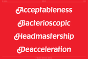BN Rascal, a Sans Serif Font by Bnick (Thumbnail 8 of 12)