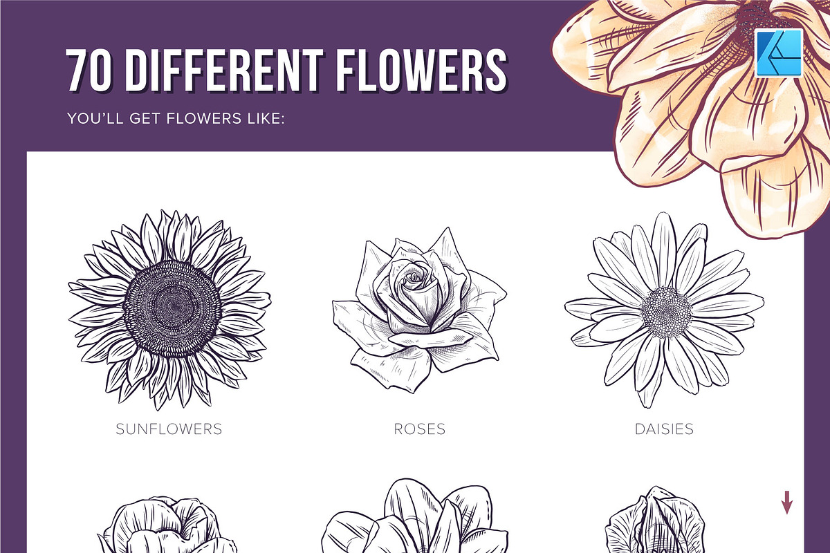 70 Flower Stamp Affinity Brushes, a Brush Add-On by Riveros Illustration (Photo 3 of 9)
