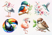 Cute Birds Sublimation Clipart PNG, an Illustration by Dream Creation (Thumbnail 2 of 7)
