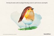 Awesome Vector Brushes Bundle, a Brush Add-On by Komet & Flicker (Thumbnail 4 of 14)