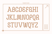 Sincky, a Serif Font by saemoon creative (Thumbnail 9 of 15)