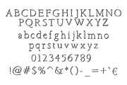 Hand Brush Serif, a Font by Rachel Ortiz (Thumbnail 9 of 10)