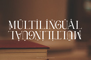 Wisteriano - Modern Serif Font, a Serif Font by Flawless And Co (Thumbnail 8 of 10)