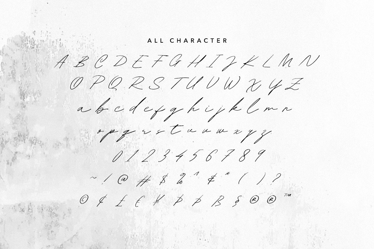 Diana William - Elegant Signature, a Script Font by Bale Type (Photo 10 of 10)