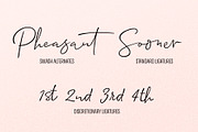 Allison Script, a Script Font by Fenotype (Thumbnail 9 of 9)