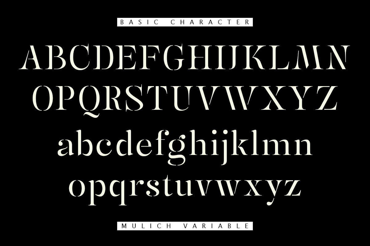 Mulich Serif Display | 18 Fonts, a Serif Font by Skinny Type (Photo 13 of 15)