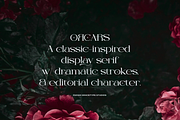 Orcars | Classic Serif Font, a Serif Font by gracetype_studio (Thumbnail 4 of 12)