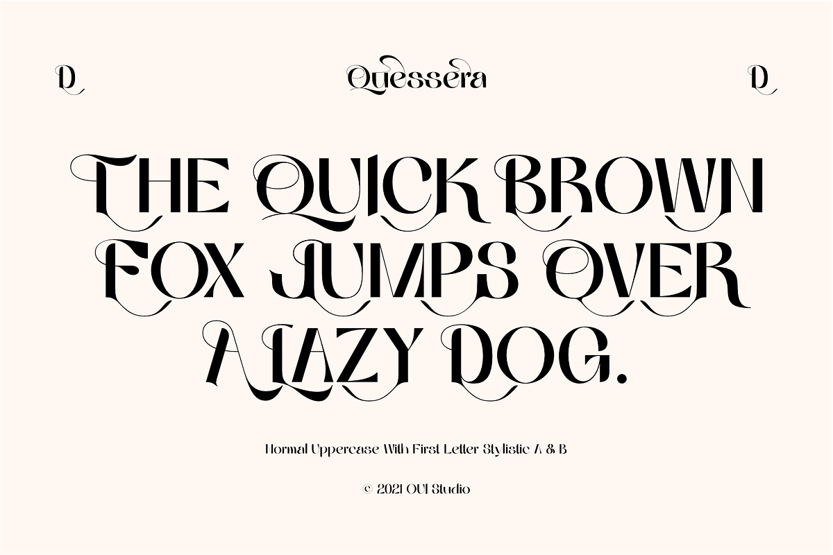 Quessera Font, a Sans Serif Font by Oui Studio (Photo 6 of 21)