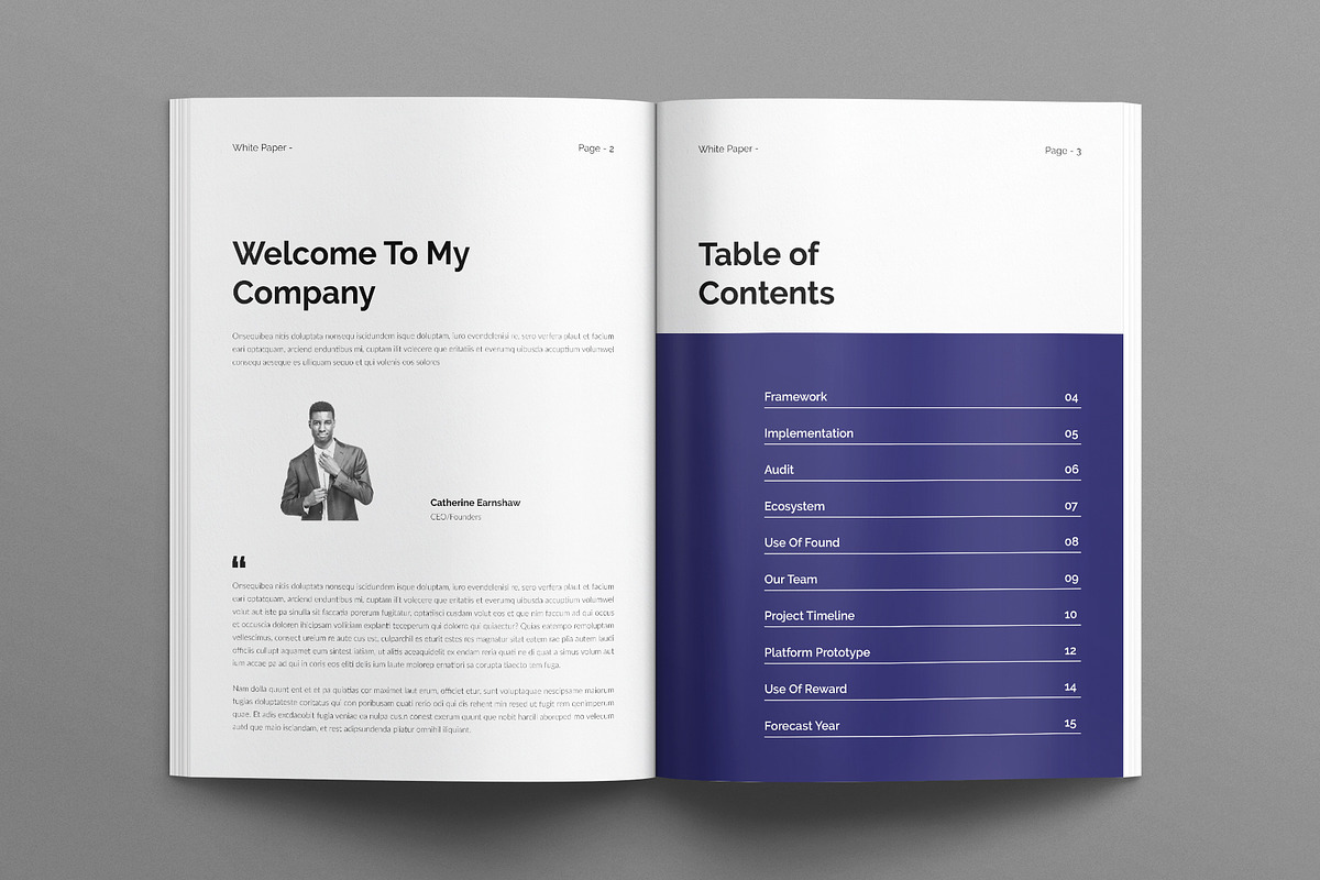 White Paper Template, a Brochure Template by E-Type (Photo 2 of 7)