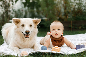 Beautiful happy baby and cute dog playing with toys while lying, a Person Photo by Sonjachni
