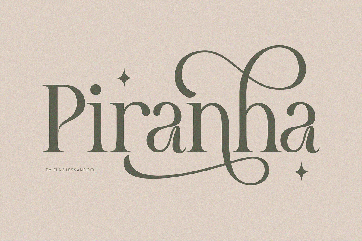 Meghan, a Serif Font by Flawless And Co (Photo 5 of 9)