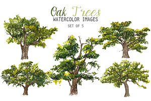 Watercolor Oak Trees Clipart