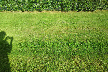 Shadow of photographer on summer grass backdrop, a Nature Photo by RETROWAVE '88