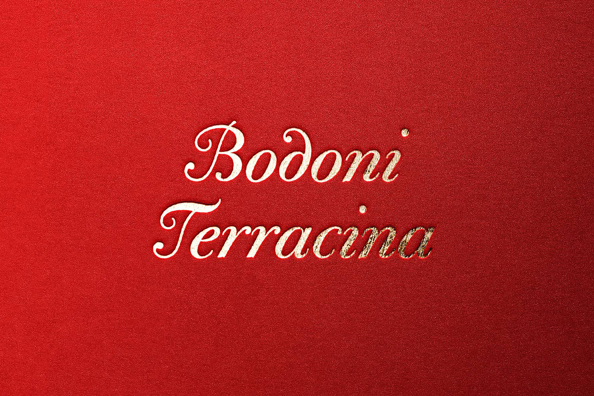 Bodoni Terracina Full Family 6 Fonts, a Script Font by California Type Foundry (Photo 10 of 10)