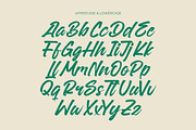 Sattyne Bregast Bold Brush Font Type, a Script Font by Letterena Studios Script (Thumbnail 12 of 15)